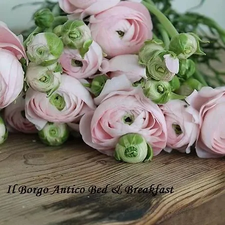 Panzió Il Borgo Antico